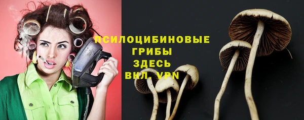 дживик Алексеевка