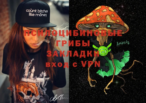 дживик Алексеевка